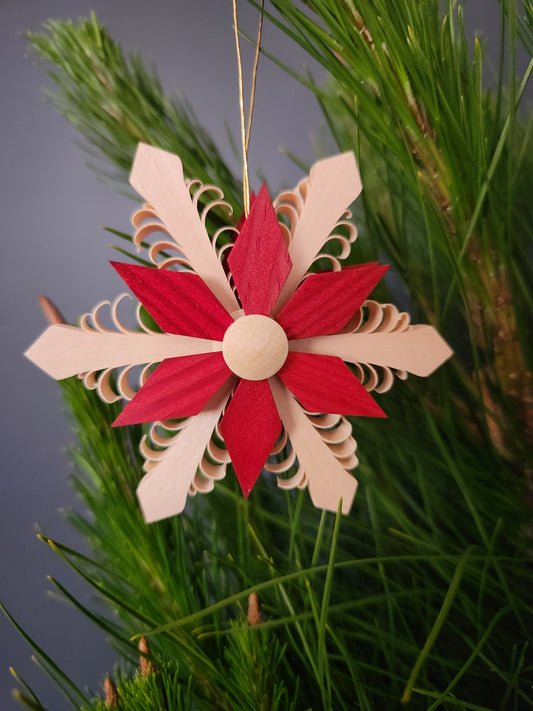Wood Star red 'Spanstern'
