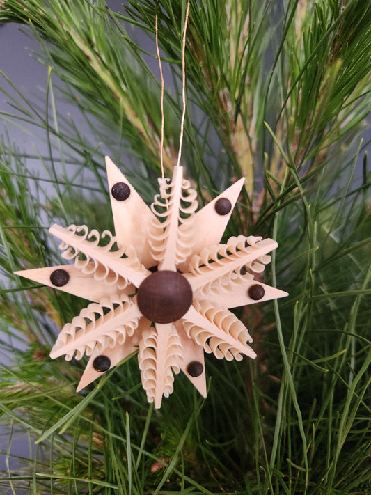 Wood Star 'Spanstern'