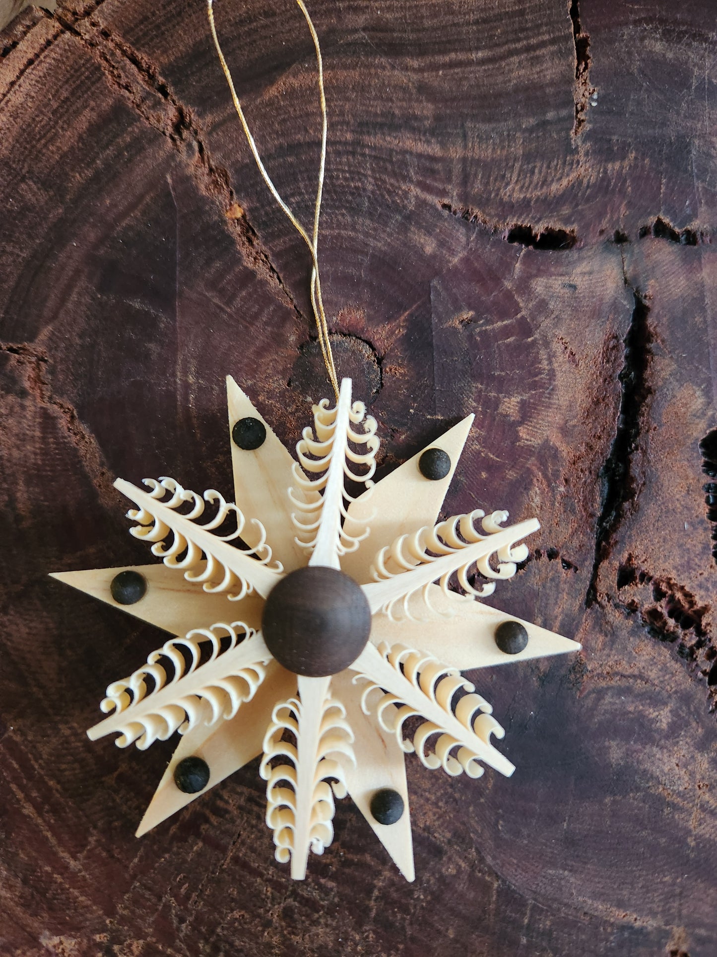 Wood Star 'Spanstern'