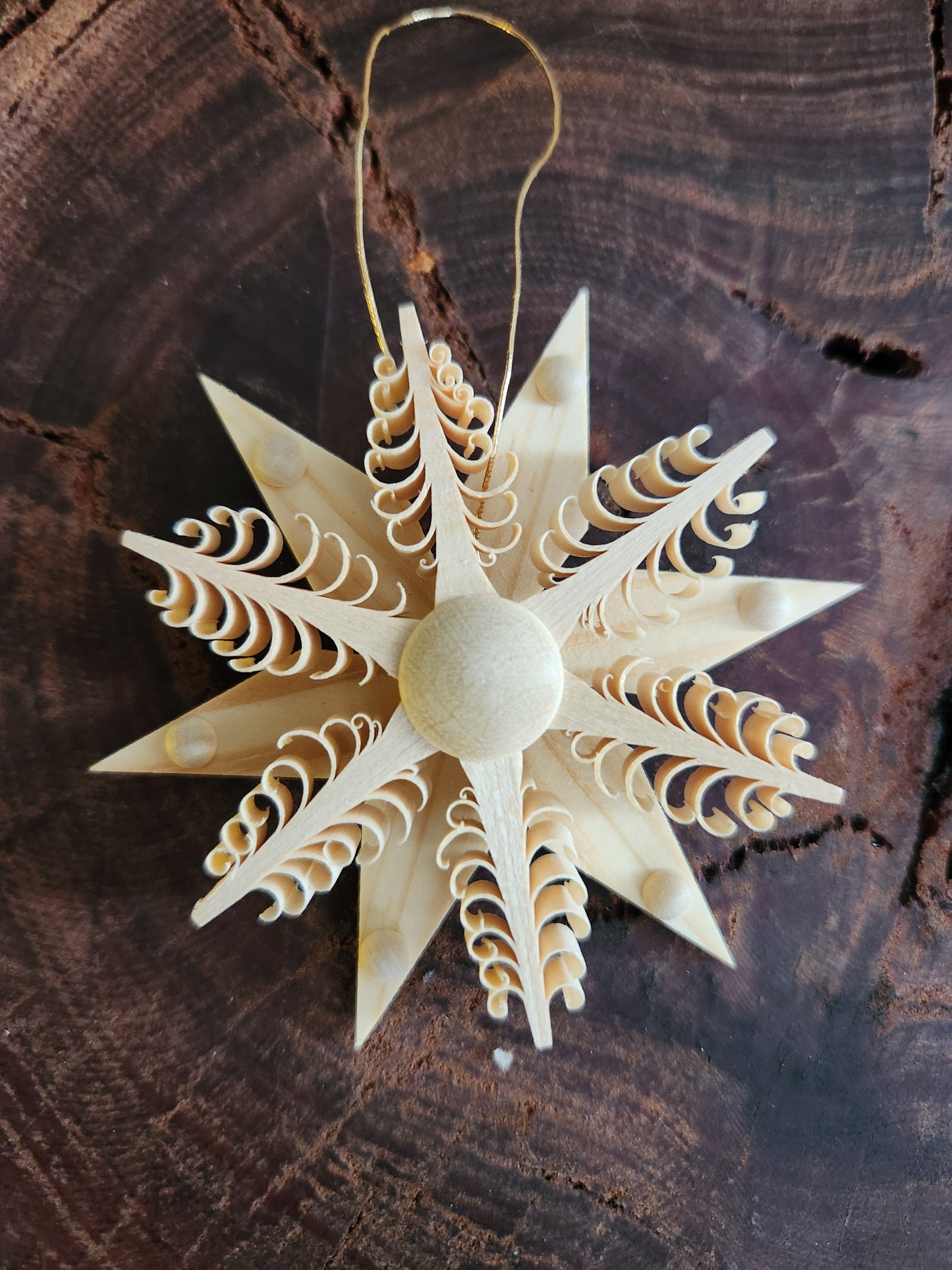 Wood Star 'Spanstern'