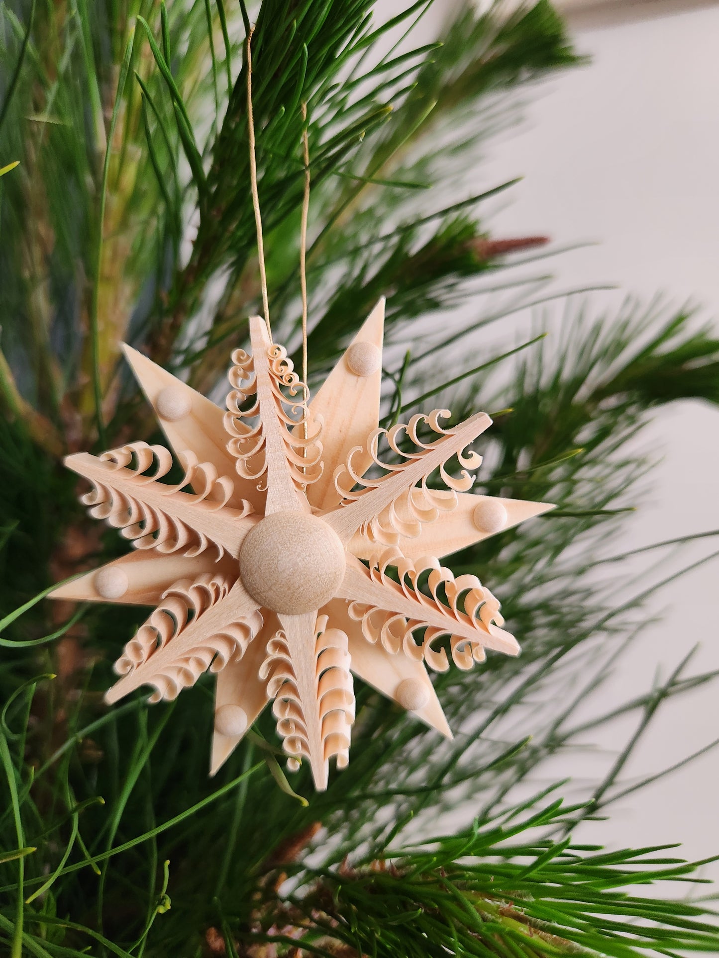 Wood Star 'Spanstern'
