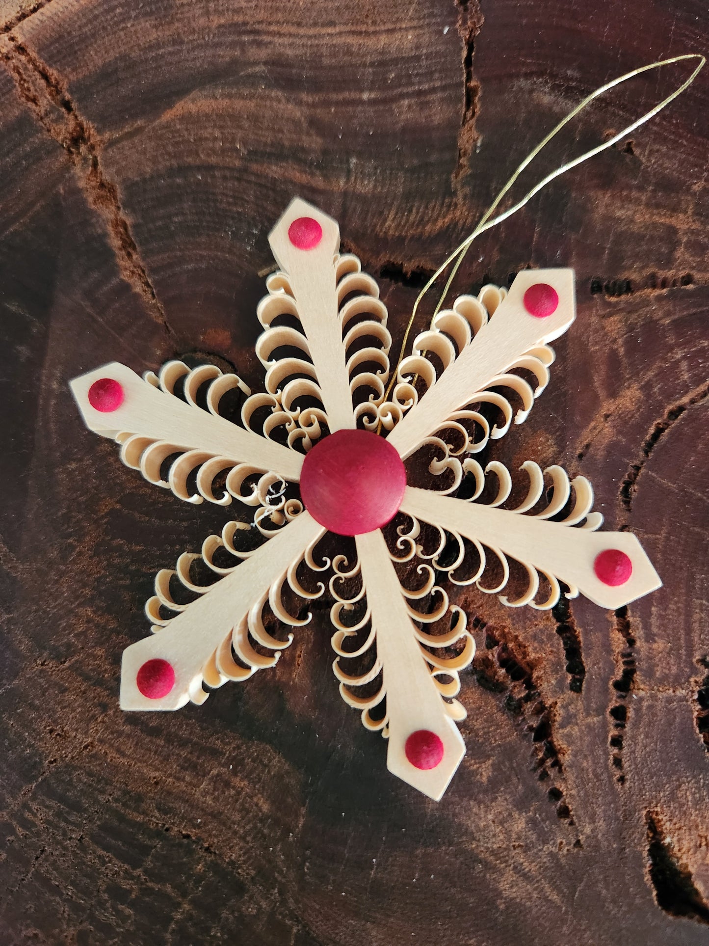 Wood Star 'Spanstern'