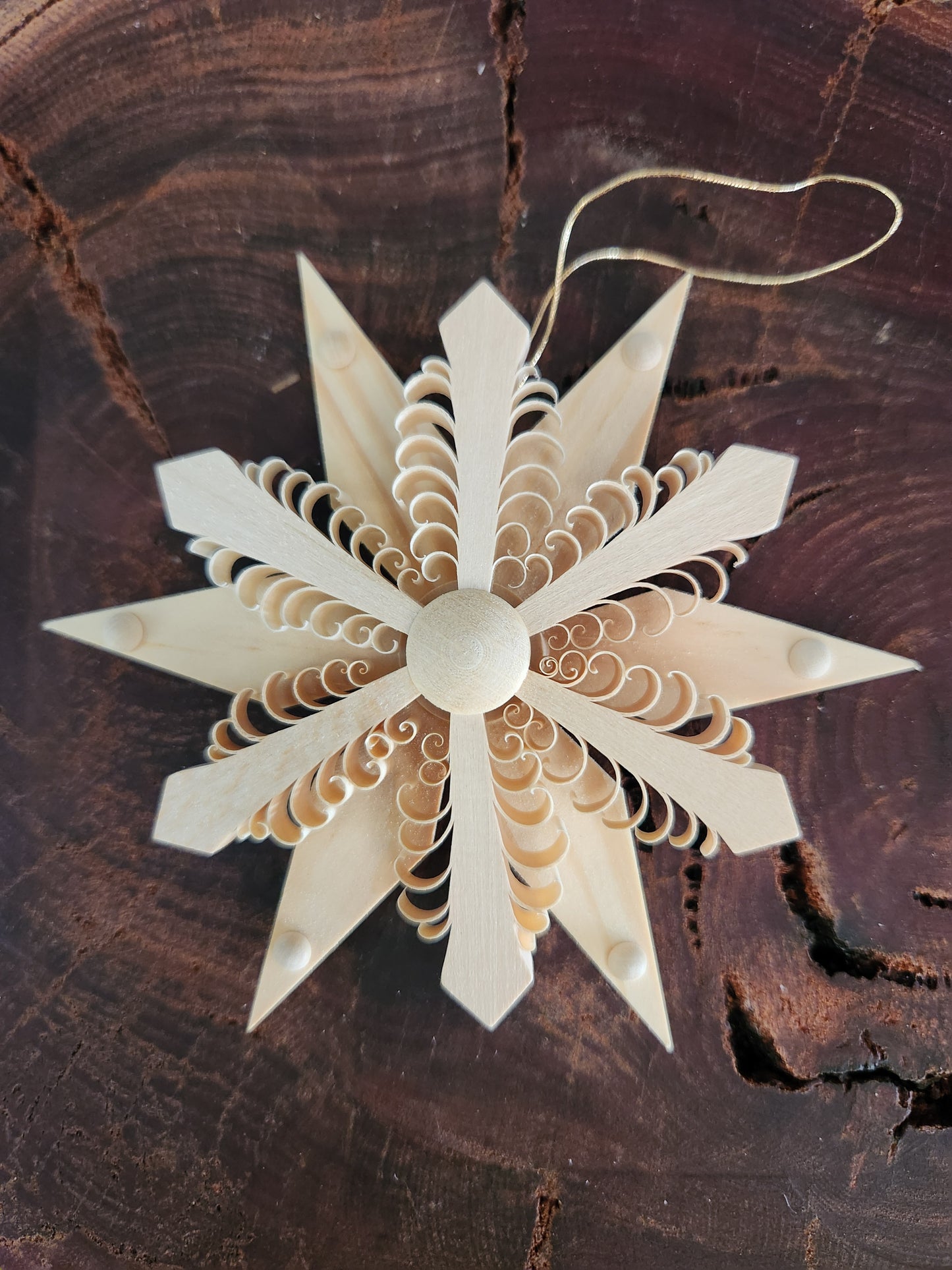 Wood Star 'Spanstern'