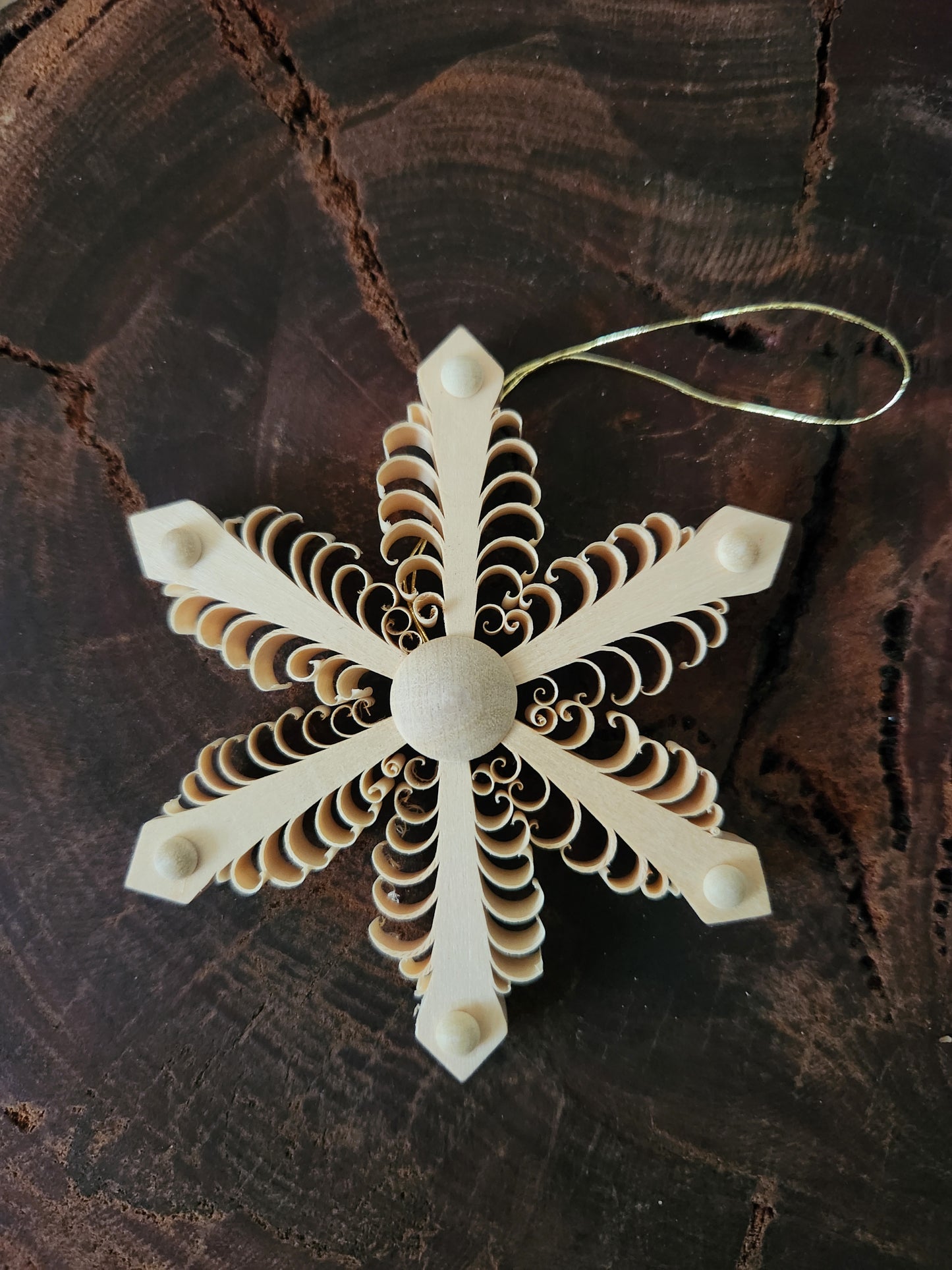 Wood Star 'Spanstern'